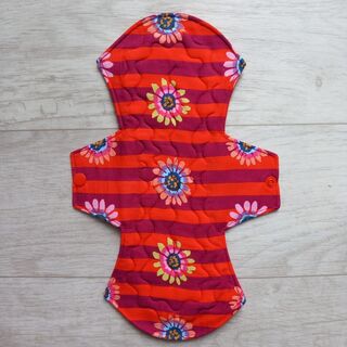 Gerberas - Little Sky Super