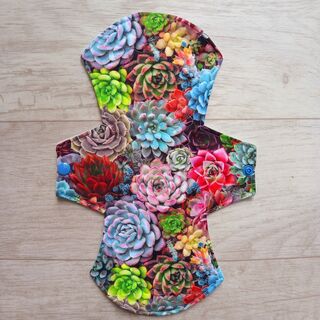 Succulents - Little Sky Medium